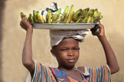Nigeria, Bananenjunge- Hier klicken zum Vergrößern