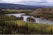 Kanada, Yukon-River- Hier klicken zum Vergrößern